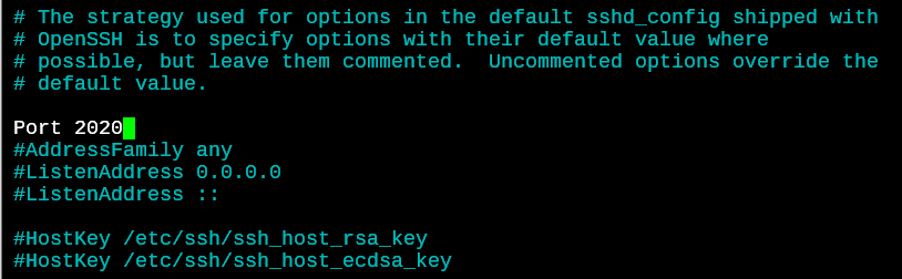 SSH Default Server Port 1