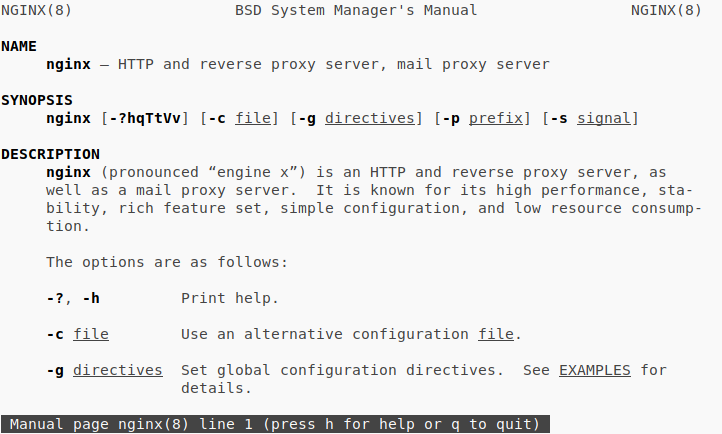 Man Page Nginx