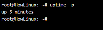 Uptime Pretty Option