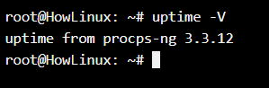 Uptime Version