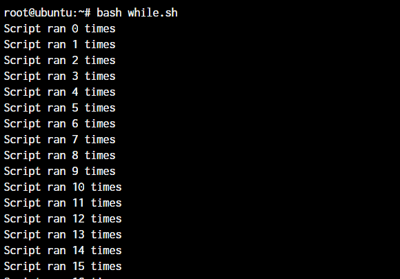 Bash Infinite While Loop