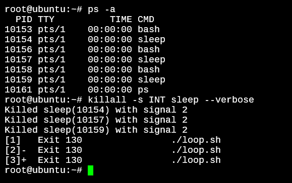 Killall Interrupt Signal Example