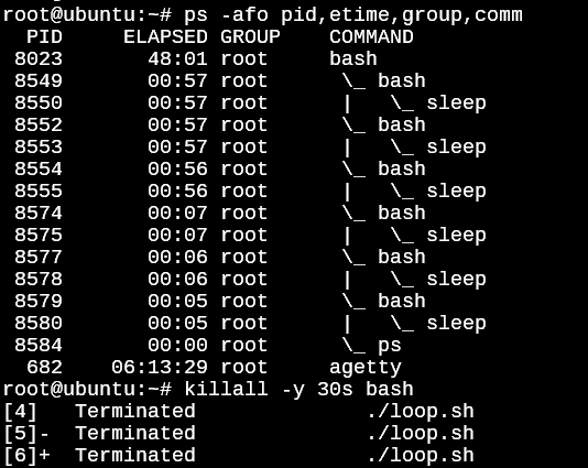 Killall Y Command Output