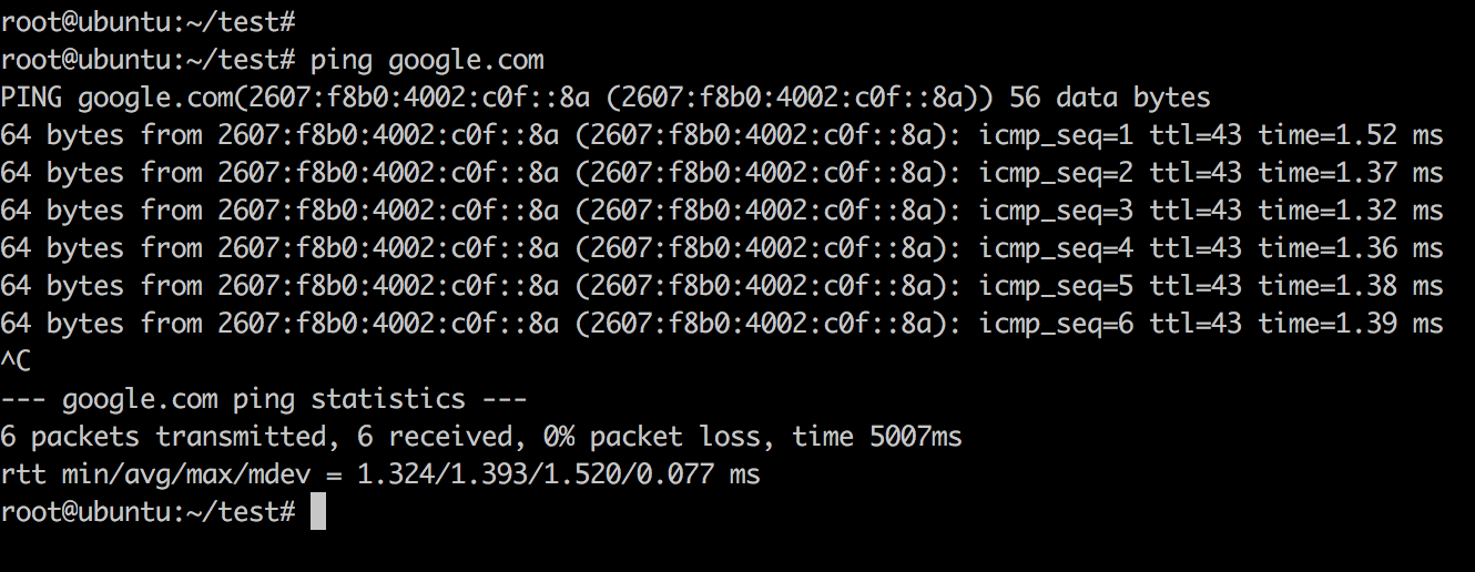 Ping Hostname Example