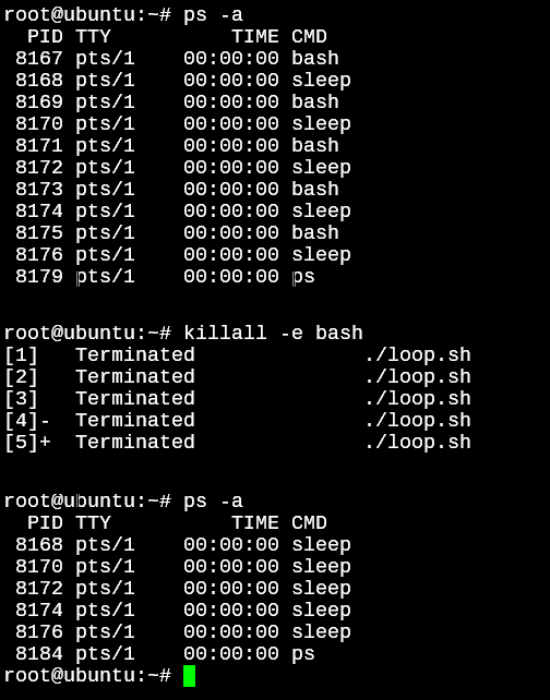 Process List Output After Killall