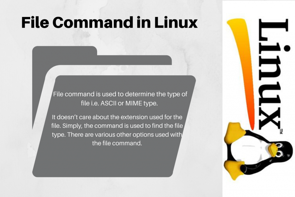 File Command In Linux