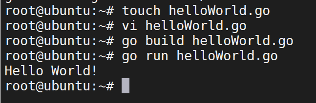 Go Hello World