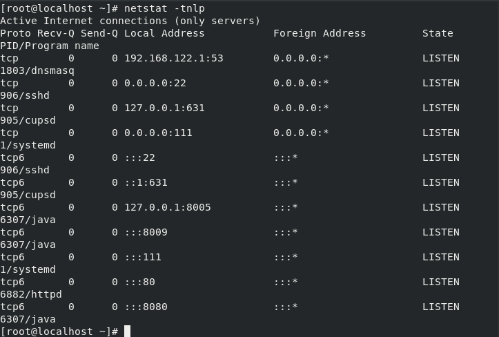 Netstat Step 18