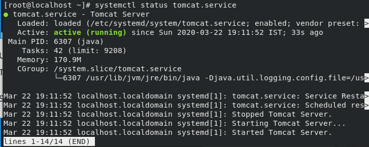Tomcat Status Step13