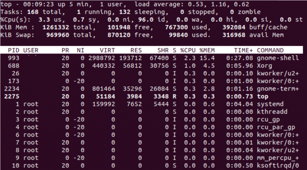 Top Command Output Default