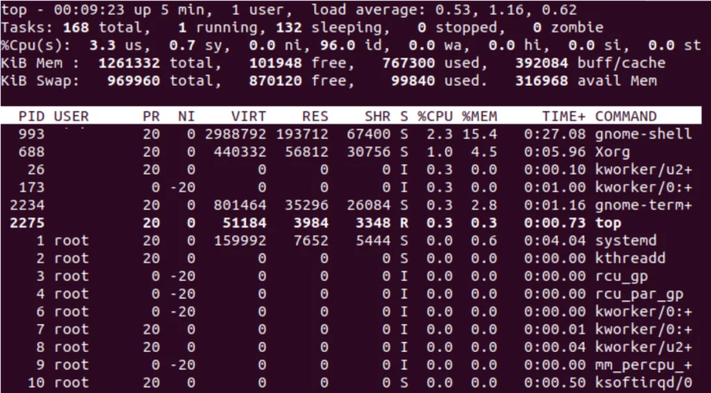 Top Command Output Default