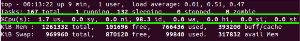 Top Command Summary Cpu Region