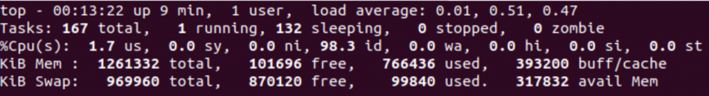 Top Command Summary Region