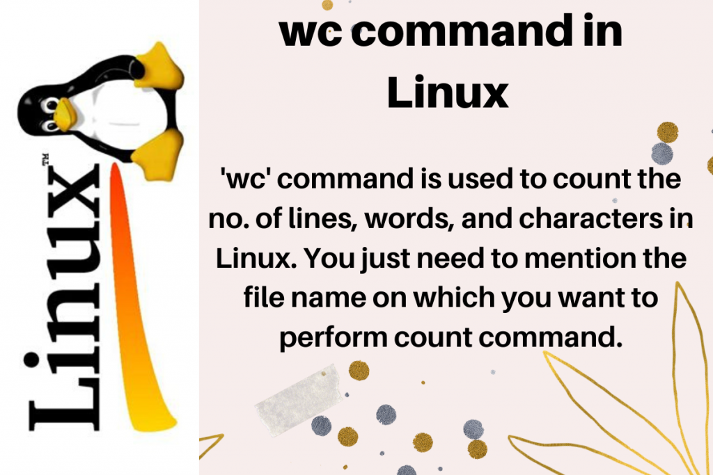 Wc Command In Linux