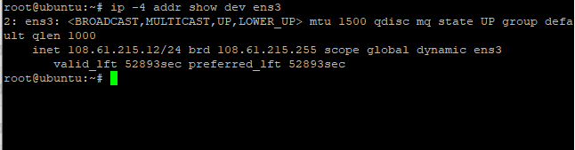 Display Ipv4 Network Interface 1