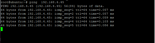 Ping The Added Ip Address