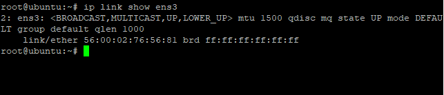 Use Link Command To Show Ip Address 1