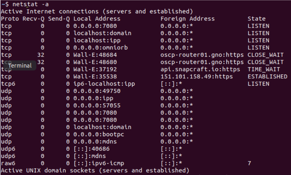 Netstat A