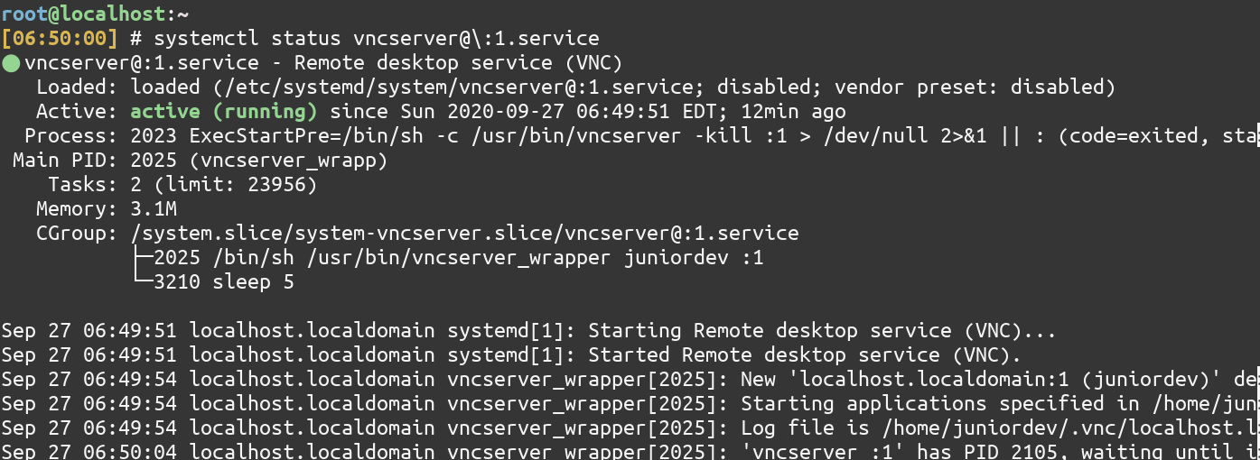 Status Of Vnc Service 1