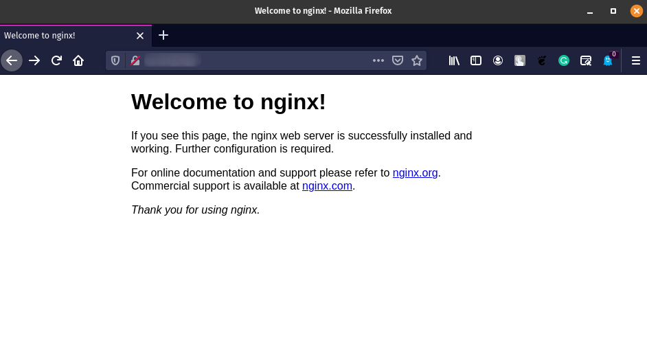 Nginx Running