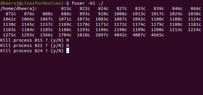 Killing Processes With Fuser