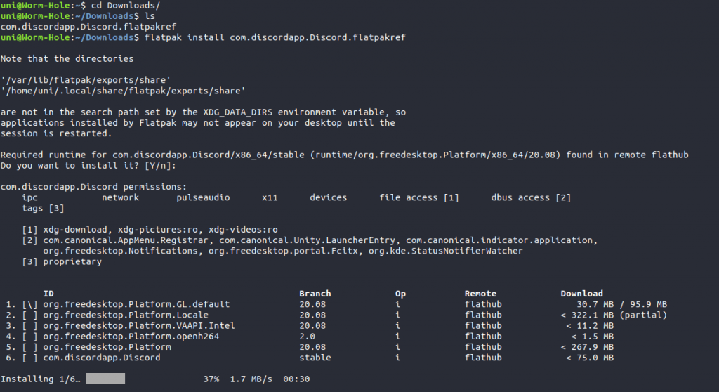 Installing Discord Flatpak