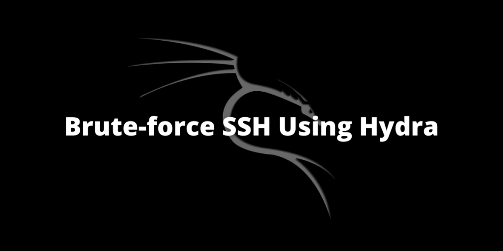 Brute Force SSH Using Hydra