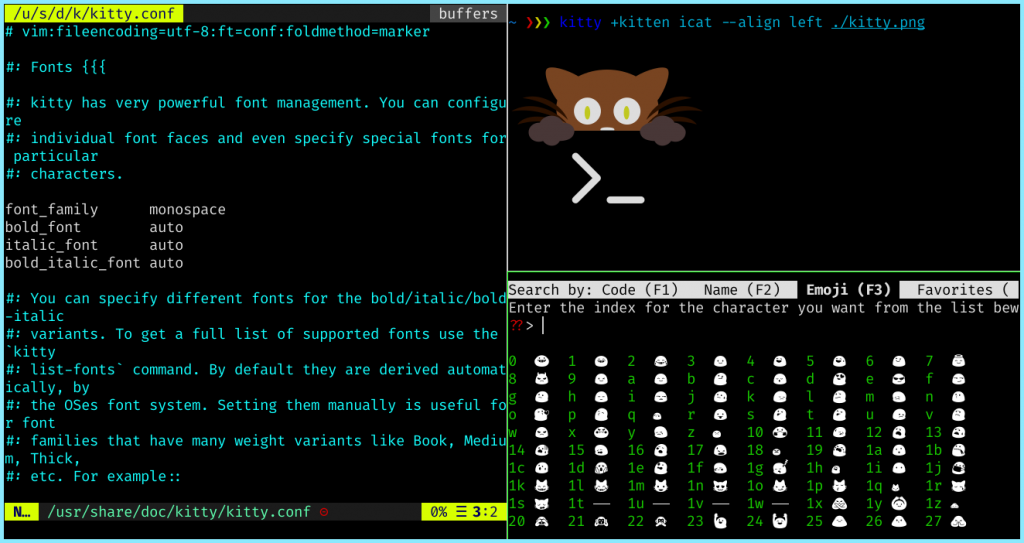 Kitty Terminal With Different Features