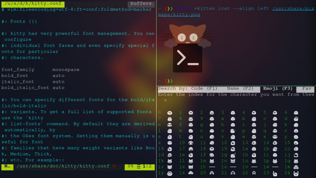 Kitty Terminal