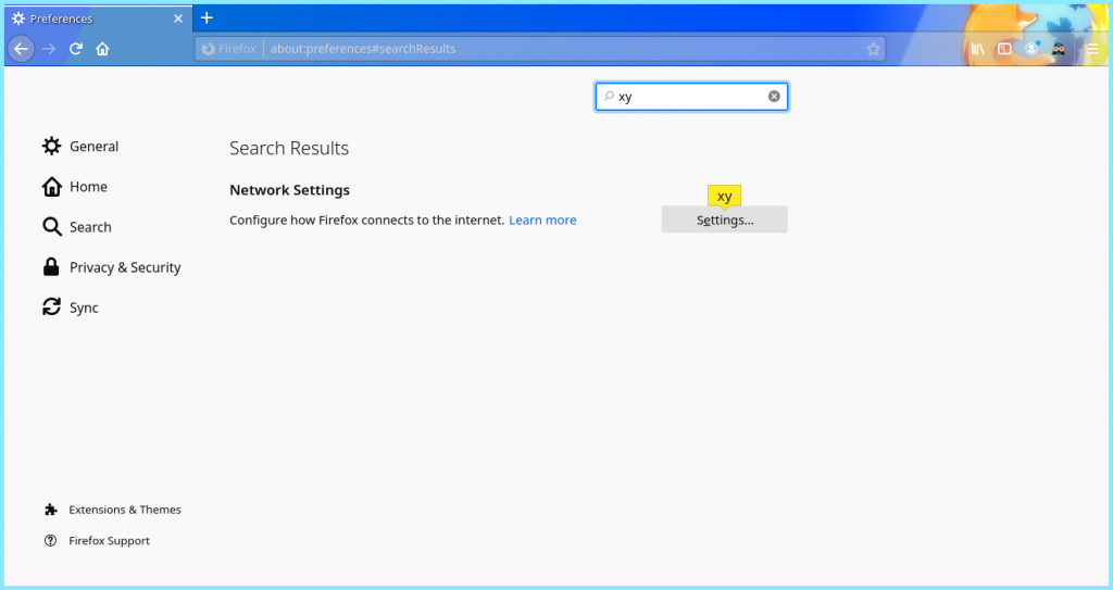 Firefox Network Settings