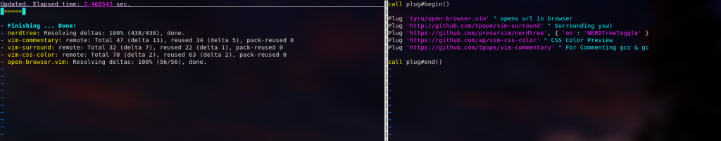 Vim PlugInstall