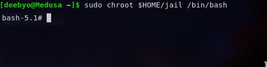 Chroot Env