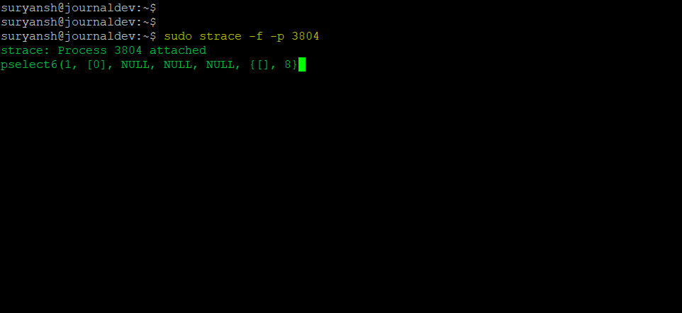 Attaching Process To The Idle Bash Session