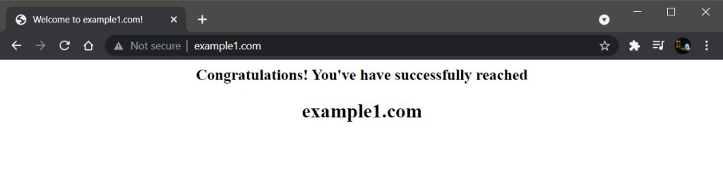 Example1.com 