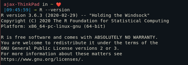 R Version 1 Update system and install R-base