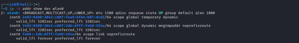 list-only-ipv6-addresses