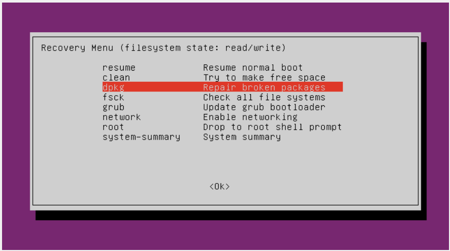 Dpkg Recovery Mode