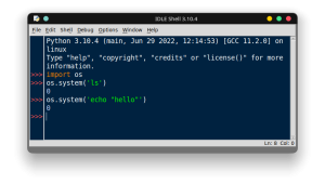 Executing Linux Commands in Python: A Comprehensive Guide to Run Shell ...