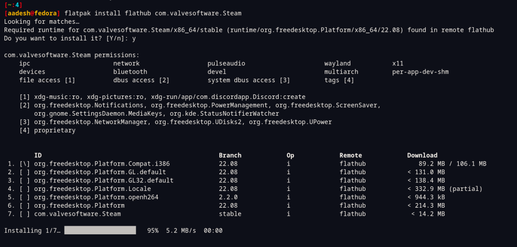 Installing Steam From Flathub