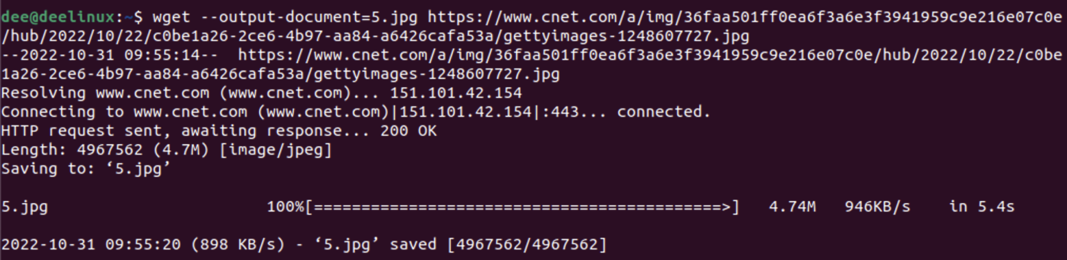 How To Download A File On Ubuntu Linux Using The Command Line ...