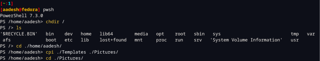 Running Basic Commands In P Shell