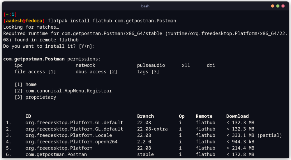 Installing Postman From Flathub