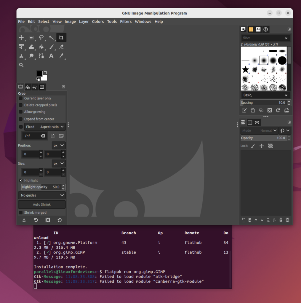 Run GIMP Using Flatpak