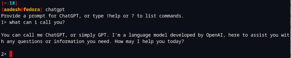 Asking Questions To ChatGPT From The Terminal