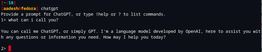 Asking Questions To ChatGPT From The Terminal