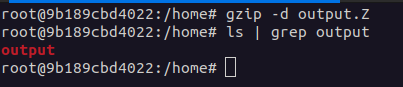 Gzip Dcompress Command