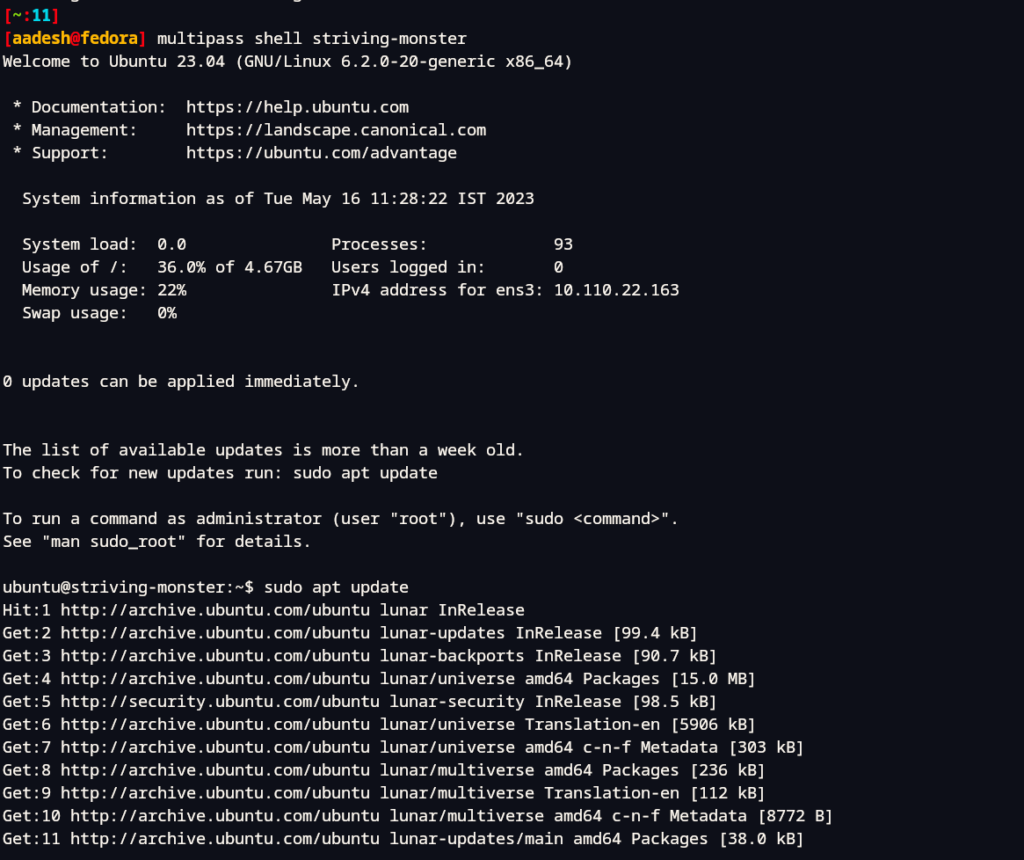 Running The Ubuntu Shell Using CLI VM