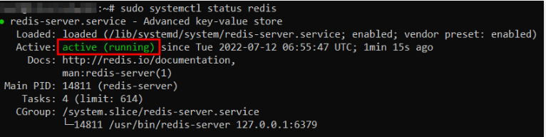 Redis Running In Linux Terminal