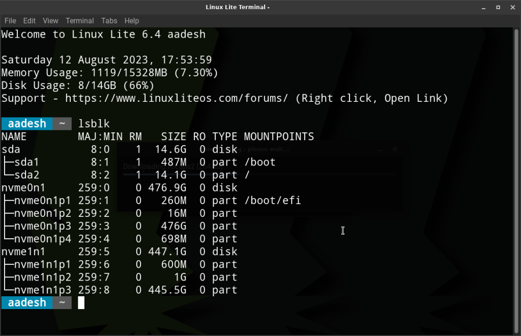 Root And Boot Partitions Are On The Flash Drive